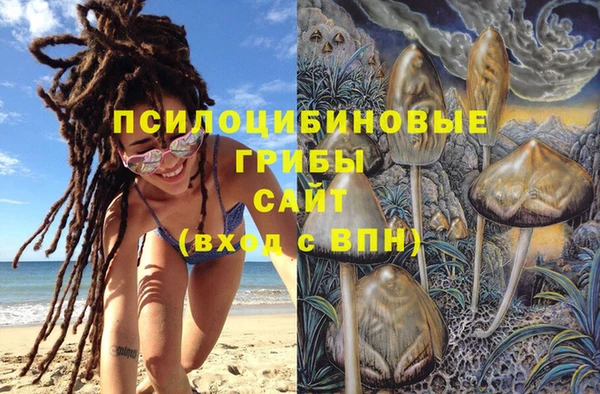 молекула духа Вязники