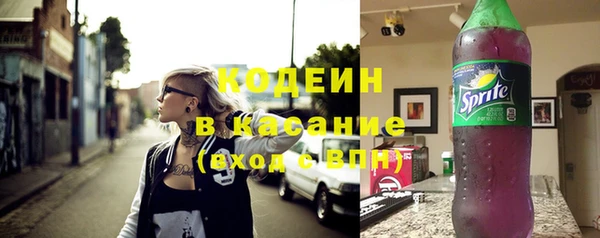 спиды Вяземский
