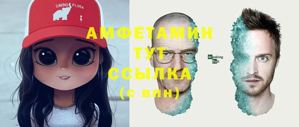 молекула духа Вязники