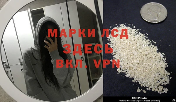 спиды Вяземский