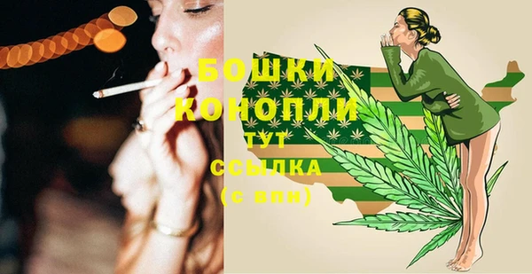 спиды Вяземский
