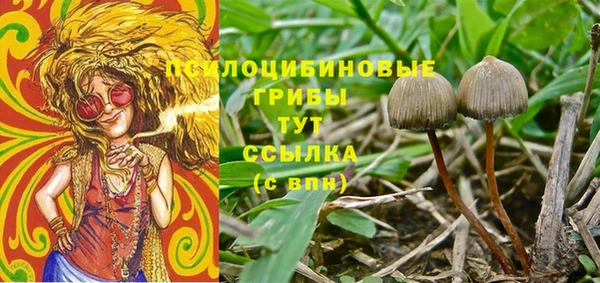 молекула духа Вязники
