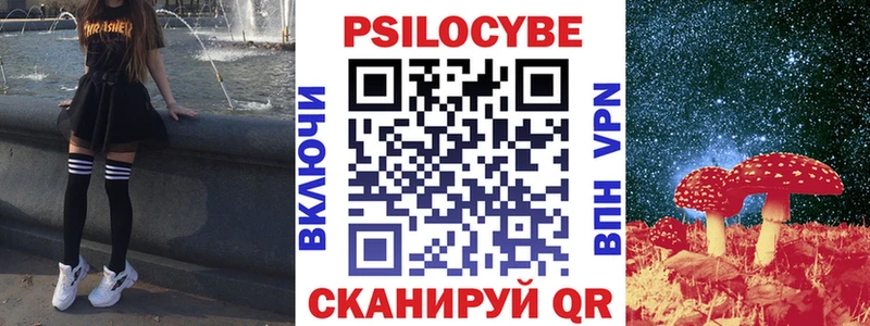 Галлюциногенные грибы Psilocybine cubensis  Назарово 
